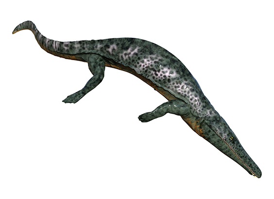 アルケゴサウルスの画像2