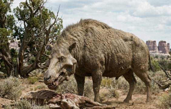 ダエオドンの画像2