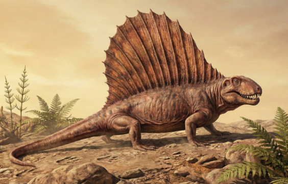 ディメトロドンの画像