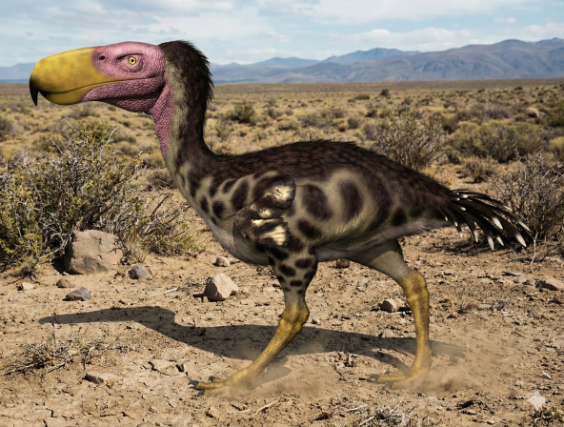 ケレンケンの画像1