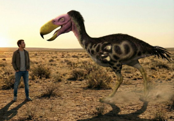 ケレンケンの画像2