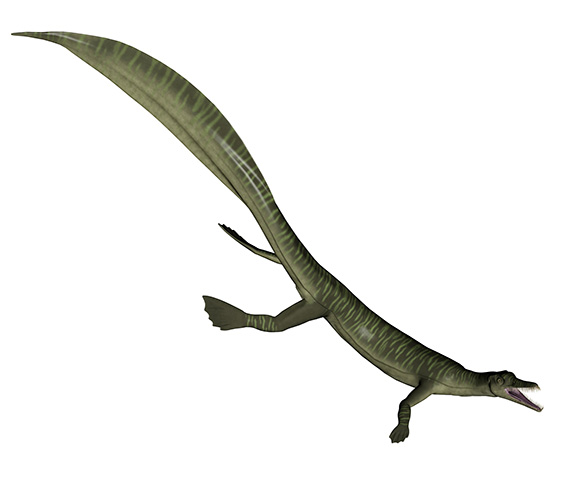 メソサウルスの画像